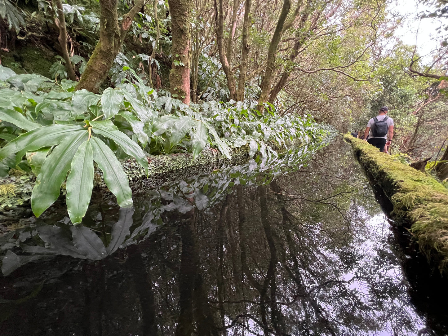 🌴 SEMANA SANTA Azores: Isla del Atlántico, entre lagos y volcanes  🌋 ➸ 📅 Lunes, 14.04.25 - Domingo, 20.04.25 💰799€-999€