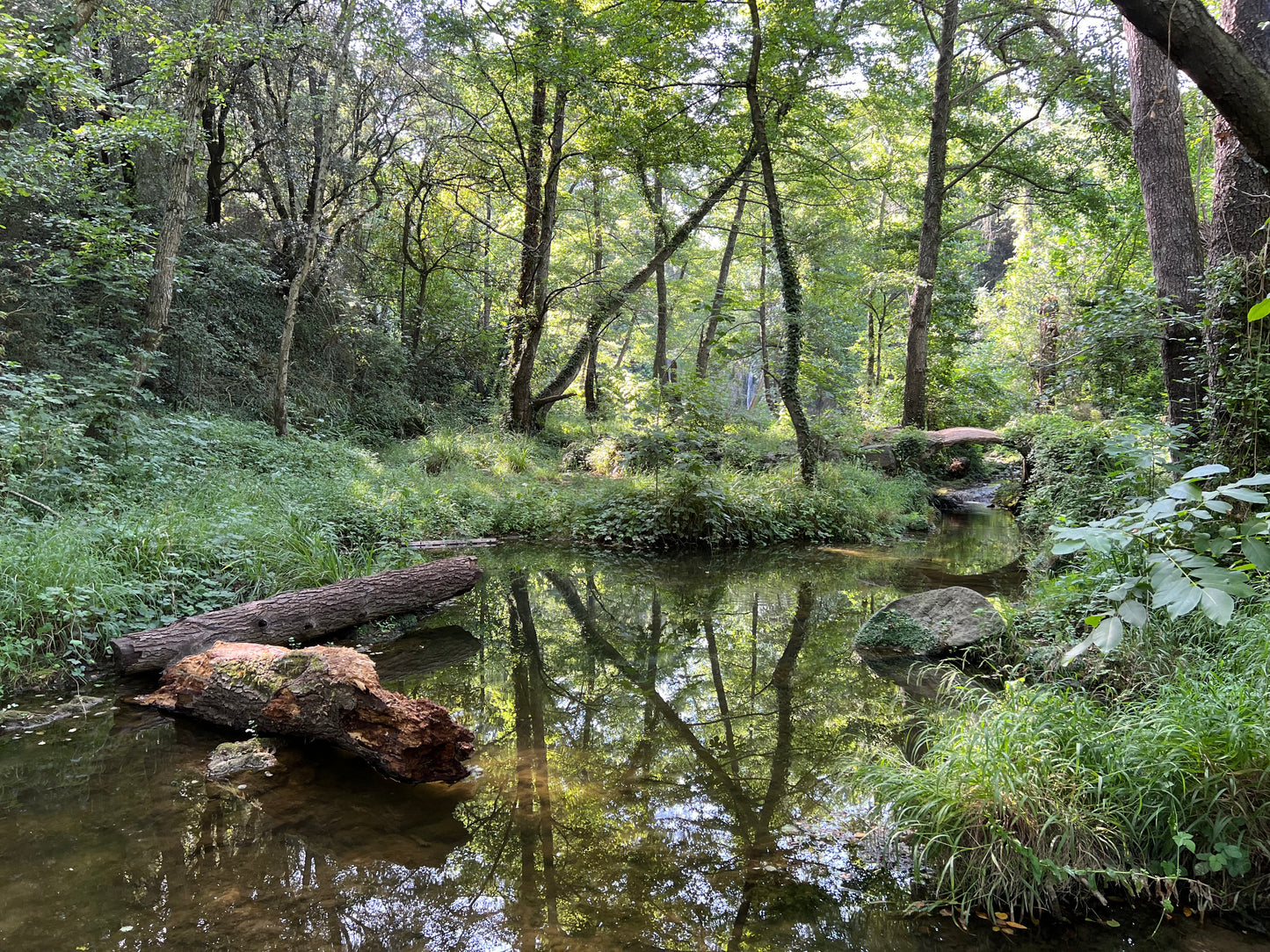 🔒COMPLETO 🌊 Los 4 gorgs secretos de la Garrotxa 🧚🏼 + Fiestas de Gracia 🎉 Fácil 11 km💪 ➸ 📅 Jueves, 15.08.24 💰39€