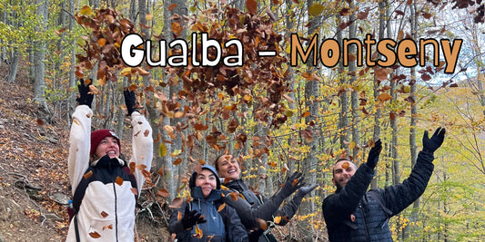 🍁 La más bella ruta otoñal cerca de BCN 🍂 Gualba - Montseny 😍 Fácil 12km 💪 ➸ 📅 Domingo, 02.11.24