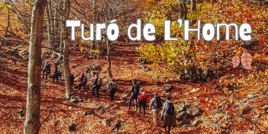 🍂 Preciosa ruta otoñal Montseny - Turó de L'Home 🍁 Intermedio 11km 💪 ➸ 📅 Sábado, 02.11.24